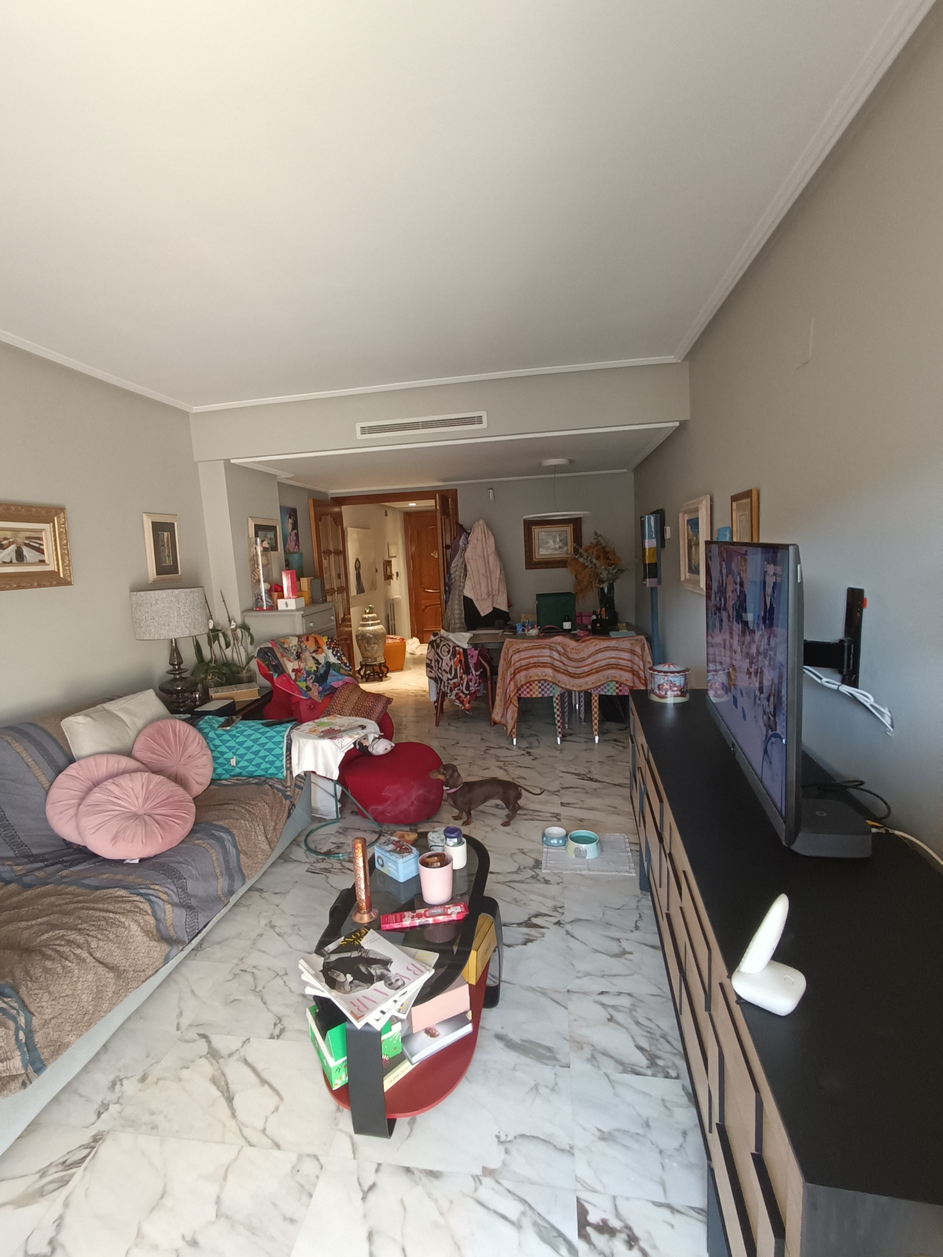 Renta Temporal 7 años con Anticipo Paseo Sagasta (Zaragoza)