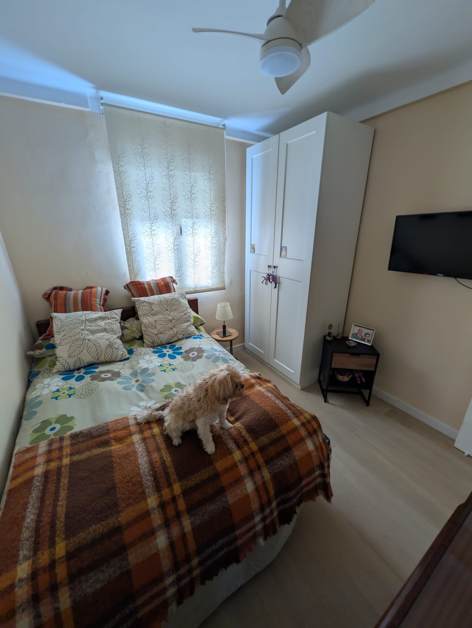 WhatsApp Image 2026-03-05 at 15.40.53 (2) HABITACION 3-1